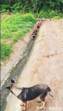 |搞笑GIF：接女朋友下班，走两个小时候了，还没有到家