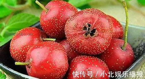 肝两经|别看它不起眼，却是保护乳腺的“高手”，常吃化瘀散结，远离增生