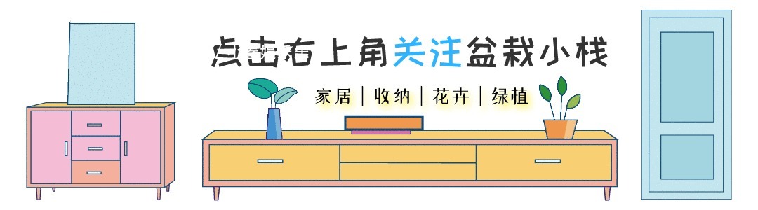 花友们|建议爱花人：客厅别养富贵竹了，这一盆栽更值得养，寓意是真好