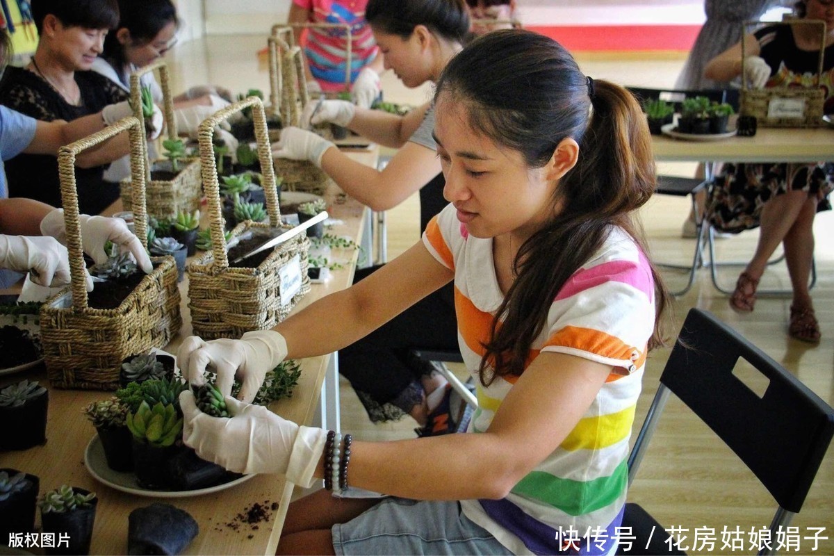 花友们|她把多肉种在篮子里,拎着就出了门,路上行人全多回头看