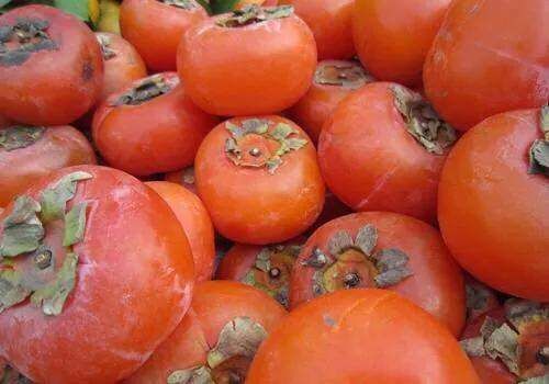 大厨|柿子是个宝,天冷不要直接吃,学街头大厨这样做,更加软糯香甜