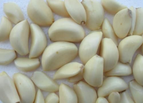 强身健体|蚯蚓钓鱼已成过去,大蒜将取代蚯蚓,让你比原来翻三倍,满载而归