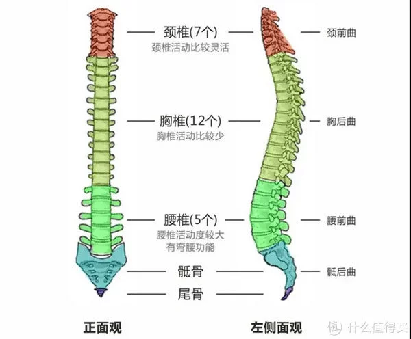 按摩靠枕推荐：腰部按摩仪有用吗？按摩靠枕哪个牌子好？高性价比网易严选猫师傅按摩靠枕实测推荐！