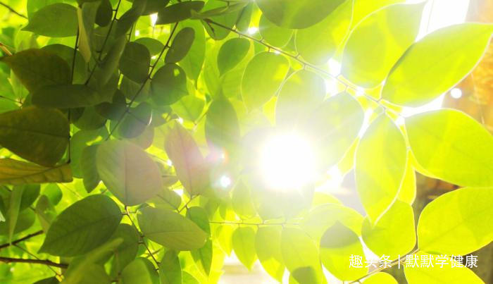 养阳|冬病夏治抓住一年中养阳的40天，阳虚的人记得提前安排好3件事