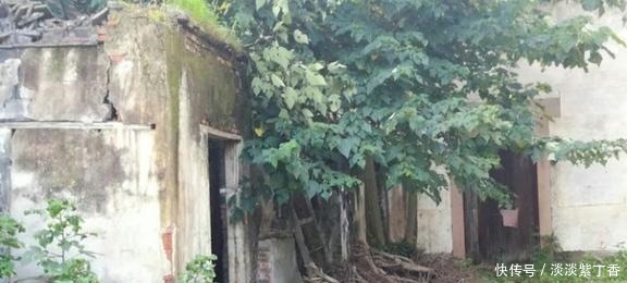 留下|父辈留下宝藏,专家占据不还,子女上诉六年,讨回千万祖产!