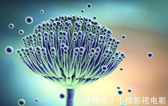 乏力|肝癌“诱因”已公布,医生提醒:身体出现3个症状,趁早查肝CT