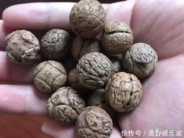 天意|一枚鬼脸菩提,他盘了近10年!这5种小众文玩,你能认全吗?