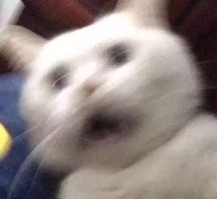 让孩子|打骂教育不可取,这样做更科学~