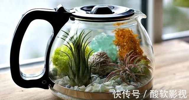 垃圾|家里的垃圾别急着扔!来看看这些网友的“爆改”脑洞