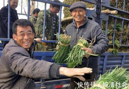 高血压|吃完韭菜血压一夜爆升，高血压饿死也别吃，一碰就是火山爆发