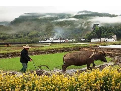 重要提醒！就在刚刚！错过等明年…