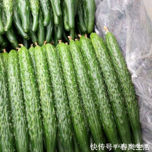 买黄瓜时，别直接拿了就走，记得看清这4点，味道浓郁更可口