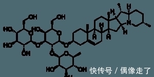成熟|揭秘我们不知的: 吃没成熟的青番茄真会中毒吗?