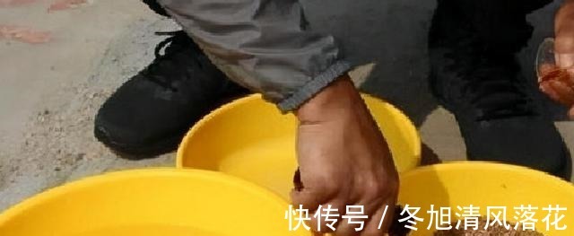 酒味用到饵料中有一大禁忌,很多钓友用错了,应引起高度重视!