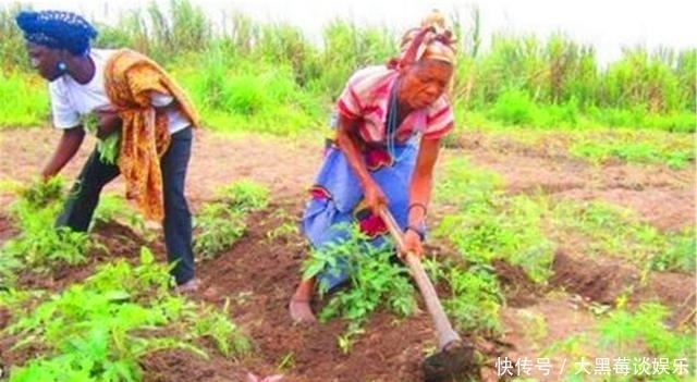 非洲人连饭都吃不上,为啥不去种地?看地上长得是什么就能明白了