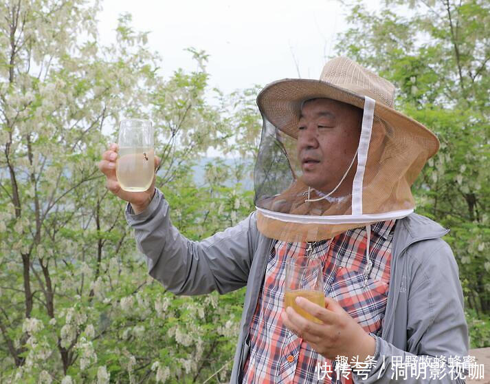  桂花|干桂花能直接浸在蜂蜜里吗干桂花自制蜂蜜桂花酱