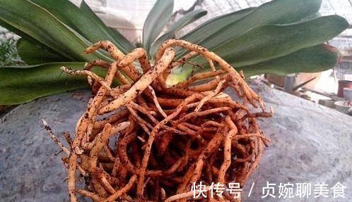 用“土方法”制作的花肥,才是养花“万能肥”,养啥旺啥