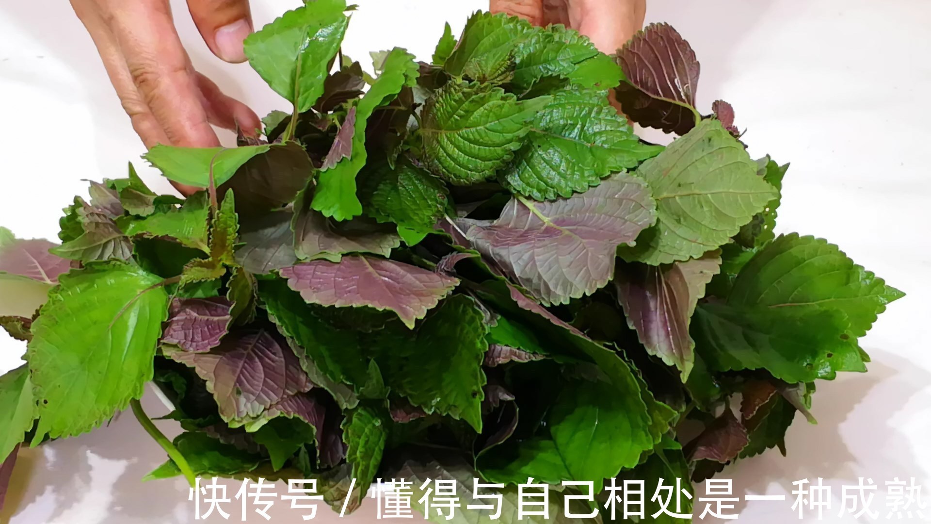 蒸土豆|入秋后,大鱼大肉靠边站,多吃此菜,才2块一斤,简单一做就特香