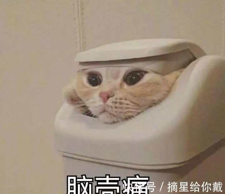 年轻人$剩菜做旗袍、塑料瓶造大楼,这些年轻人正在用垃圾拯救世界!