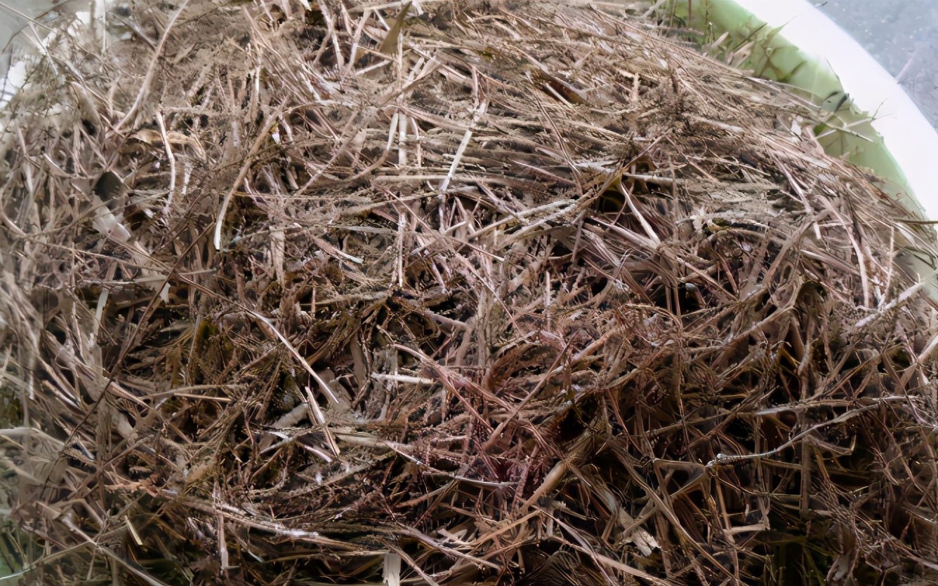 花友们|养花其实不用买土,这么配置万能营养土,有营养又透气