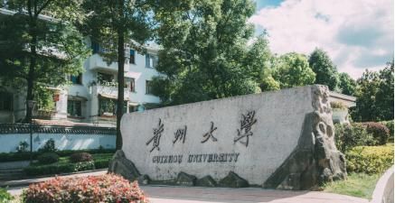 4所211大学很“委屈”！报名时无人问津，调剂时人满为患！