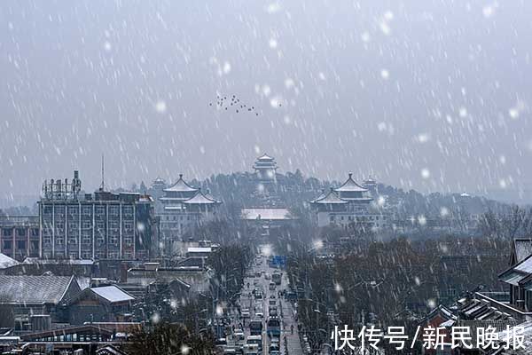 雪球|夜光杯 下雪了