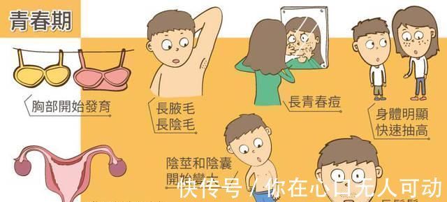 性早熟|7岁女孩停止发育,身高定格1米2,医生说有些习惯不能碰