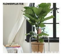 北歐家|她家40㎡老房翻新,不砸墻,不改格局,輕松逆襲高顏值北歐家!