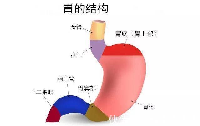 胃疼|老胃病清楚“多三少四”，灭菌杀幽，胃酸胃疼全好了，收藏