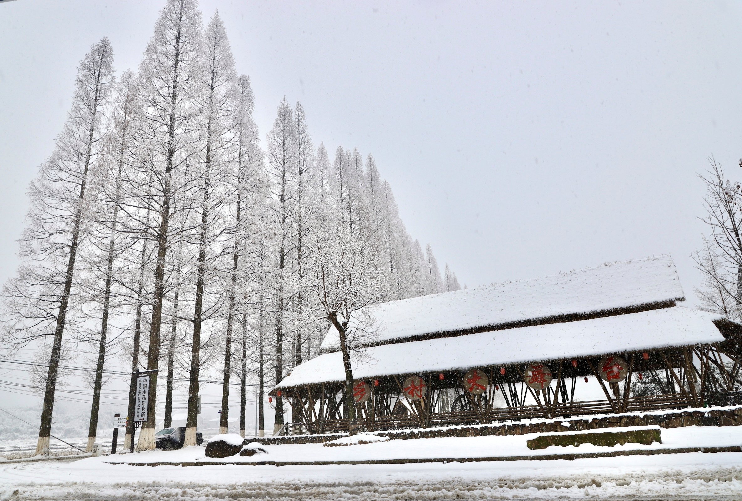 冰雪奇缘|赏雪何须一路向北 来“浙”感受不一样的“冰雪奇缘”