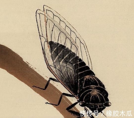 昆虫#齐白石画蝉感觉不过瘾,画了一只“残缺”的蜻蜓,没想到值9亿元!