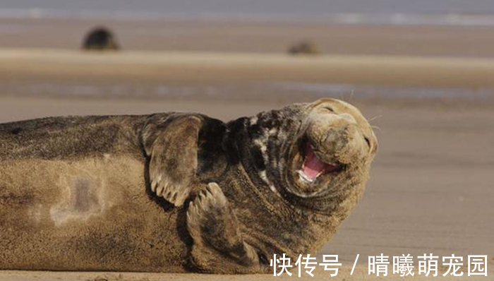 |最新歇后语俏皮话,搞笑怼人逗你玩,建议收藏