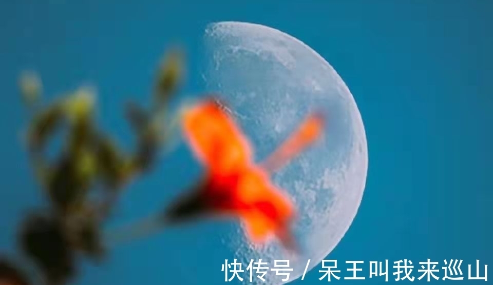 兵临城下#李清照:乱世中的美神,惊艳了千年时光!