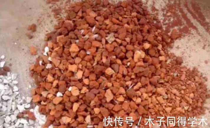 红砖|搬两块砖回家养花吧！过程有趣，效果喜人