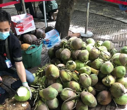 到西双版纳，这些热带水果没吃就白来了