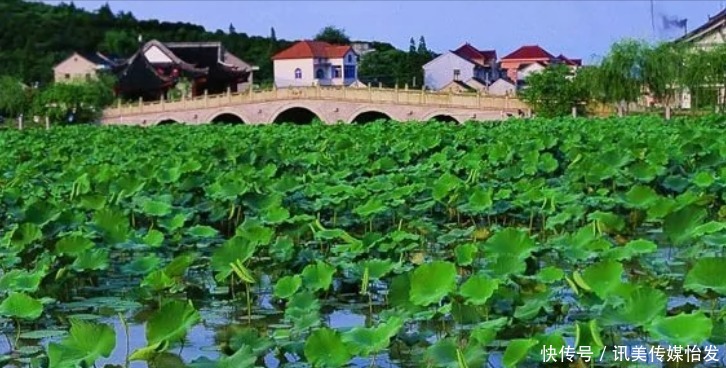 嘉兴有望“升级”的县,称作“旅游之地”,景点百年古树40多株