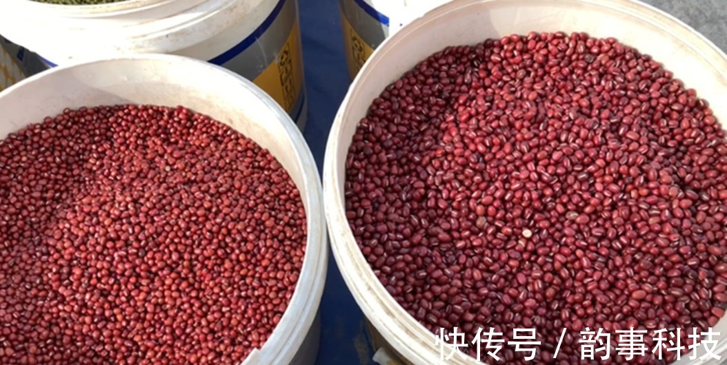 天冷了,少吃水果多吃它,一次煮好放冰箱,随吃随拿,真省事