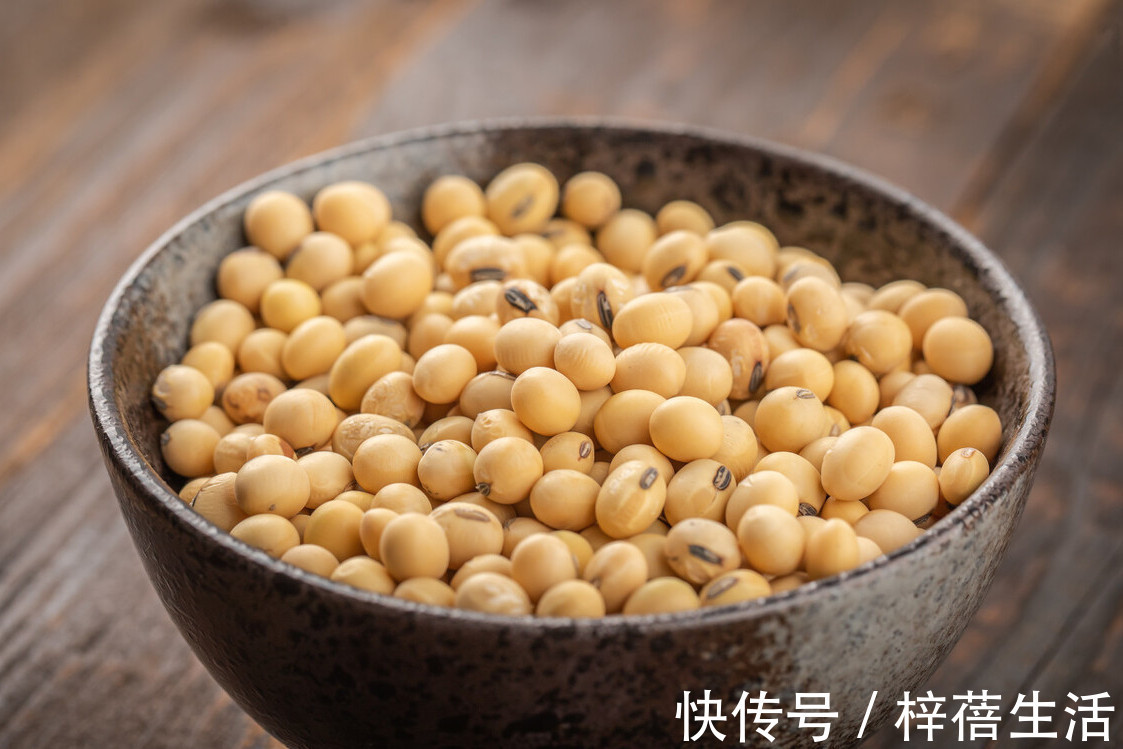 豆浆机|自己打的豆浆总是不香教你一招，口感香浓细腻，比早餐店还好喝