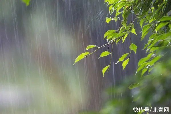 晚春养生，牢记“3要3防”！照着做，脾胃好了、湿气散了、小毛病没了
