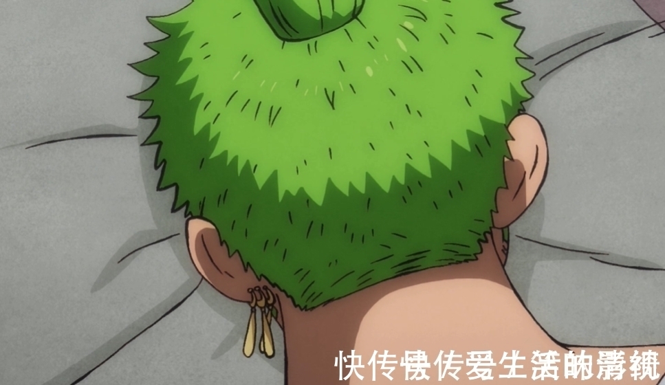 狂死郎|海贼王:日和不愧是和之国花魁,撒娇三连投怀送抱,闹得索隆自闭