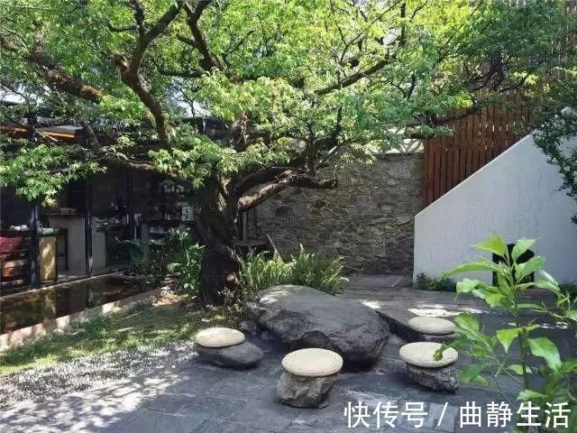 等我老了以后，找个小院陪你养花种菜！