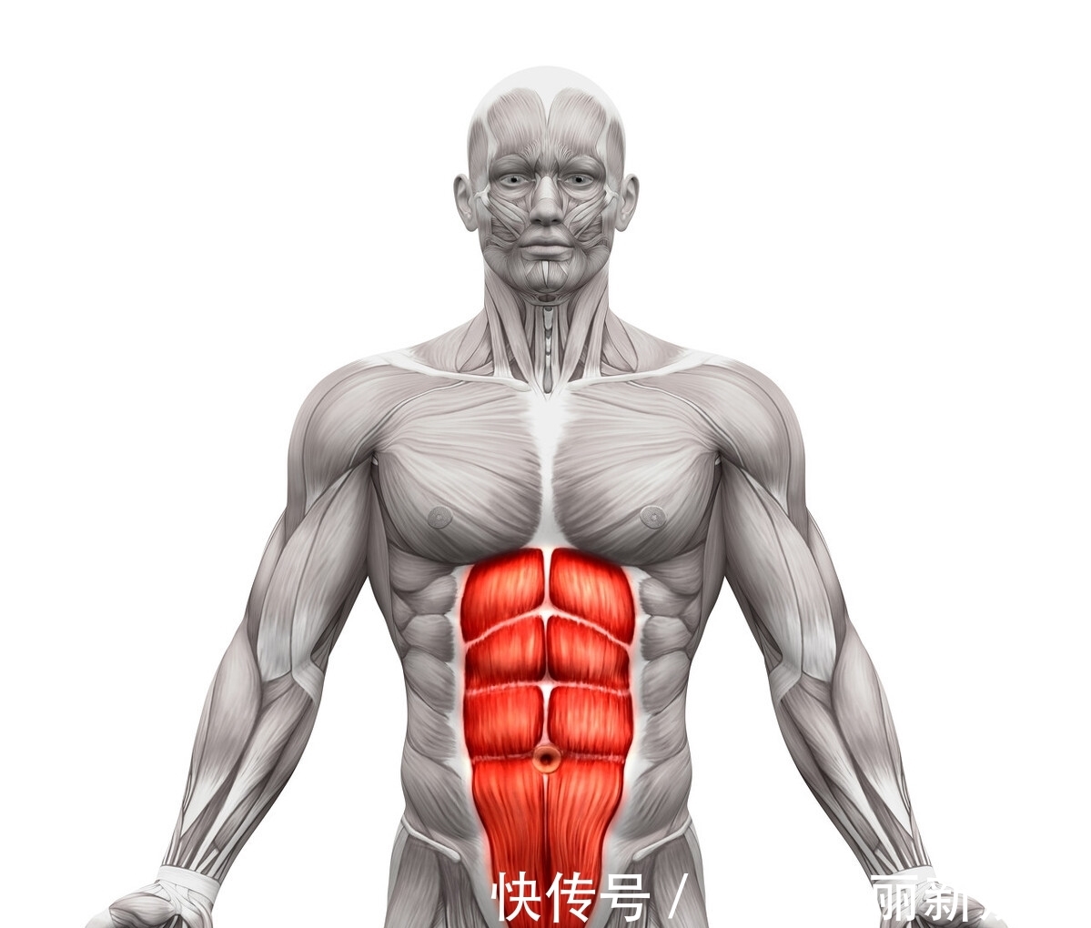 动作|6块腹肌怎么练?先减脂再虐腹!6个动作,帮你雕刻腹肌线条