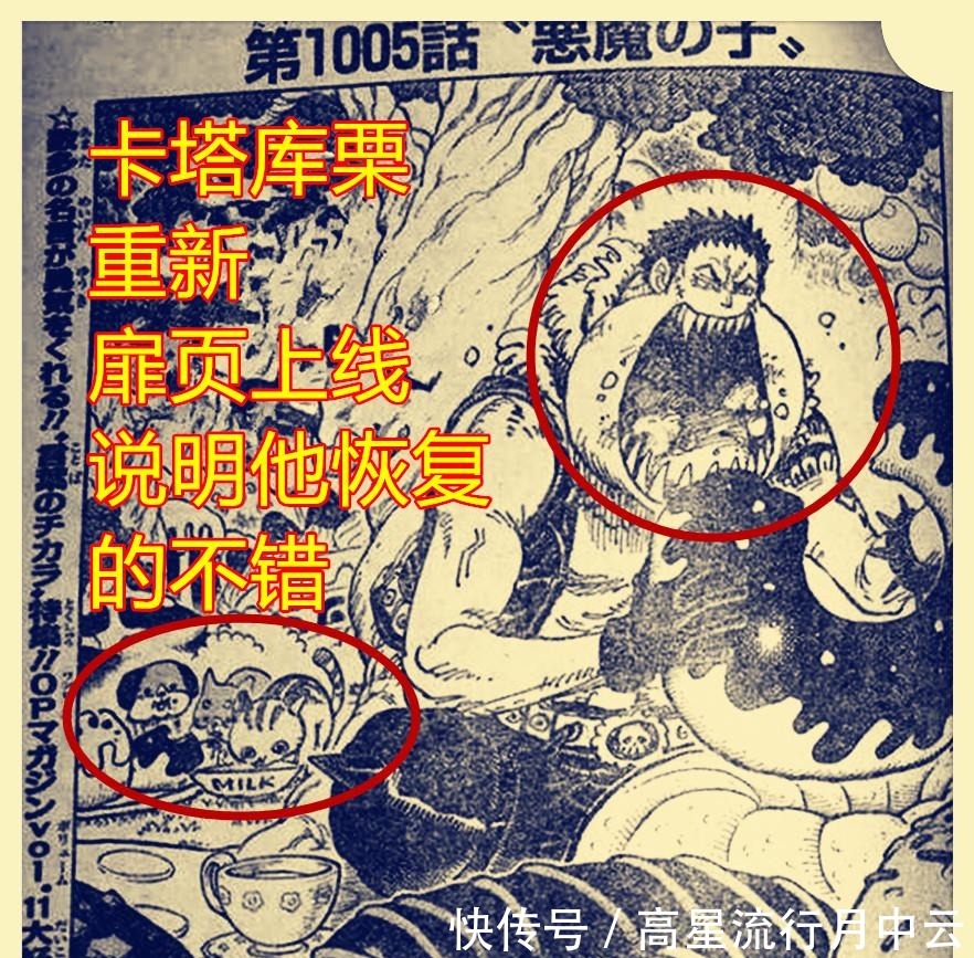 海贼王1005话,卡塔库栗上线并露脸,King火焰射击对马尔科没效果