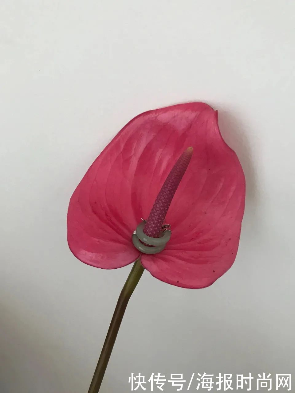 新中式风|穿旗袍、戴玉石、玩发簪...新中式风是时候逆袭了