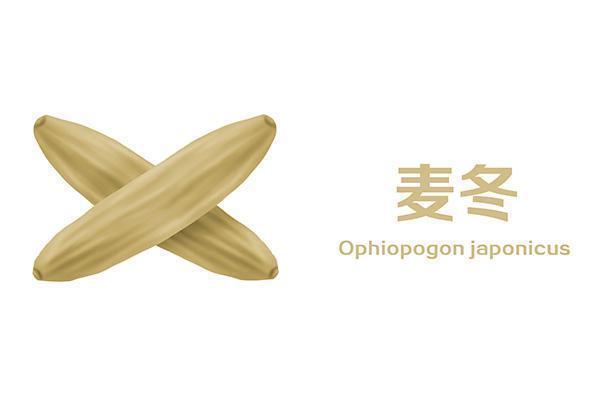 调理|脾虚人就废了一半脾虚的人记好健脾要诀，照样活得自在