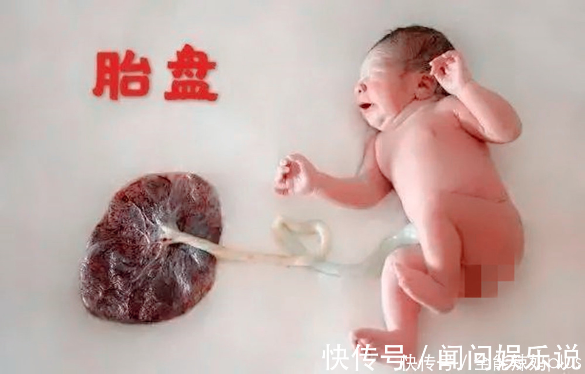小宝宝|生完宝宝后，你的胎盘“埋了”还是“吃掉”？做法不同结果大不同