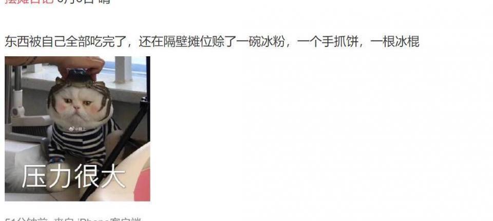 日记|“超火的摆摊日记来了”,这届网友都是天才,哈哈哈哈