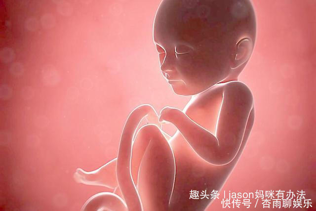 黄金期|胎儿脑发育也有黄金期孕妈吃哪些食物,助孕更聪明宝宝