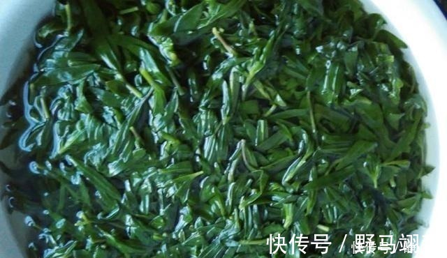 农户|山上一野菜,半个月就可采摘一次,市场一斤卖60元,见到请珍惜