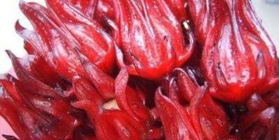 聰明的女人，多吃以下食物，排毒養顏，皮膚更有彈力光澤，試試看